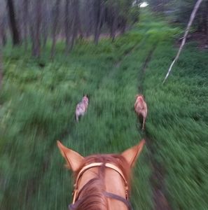 Meet your Posher, Jaime